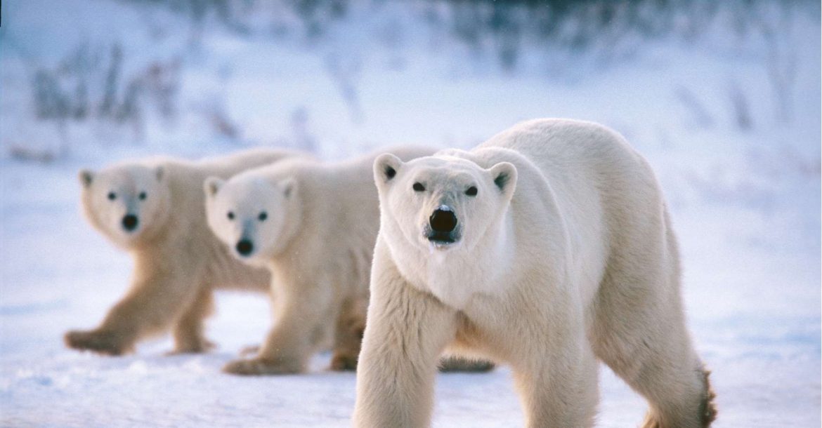 Top Entertainment Spots in Canada