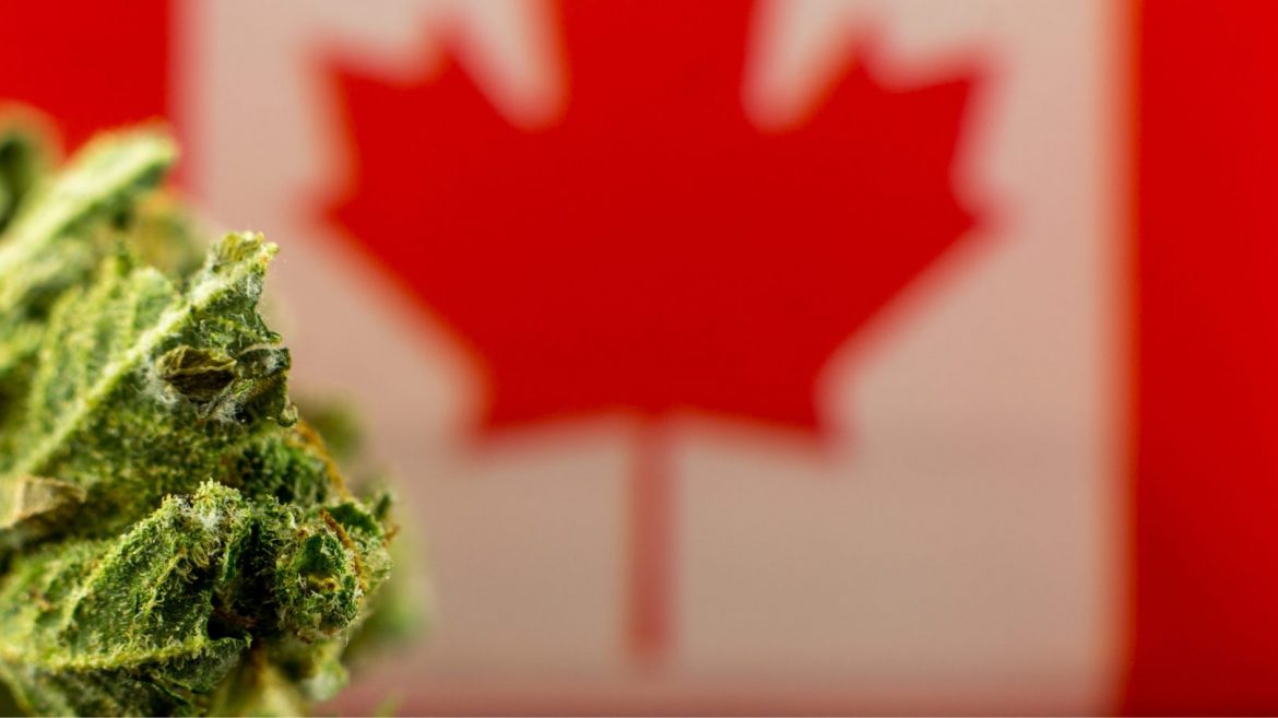 An Insight into Products from Companies in Canada
