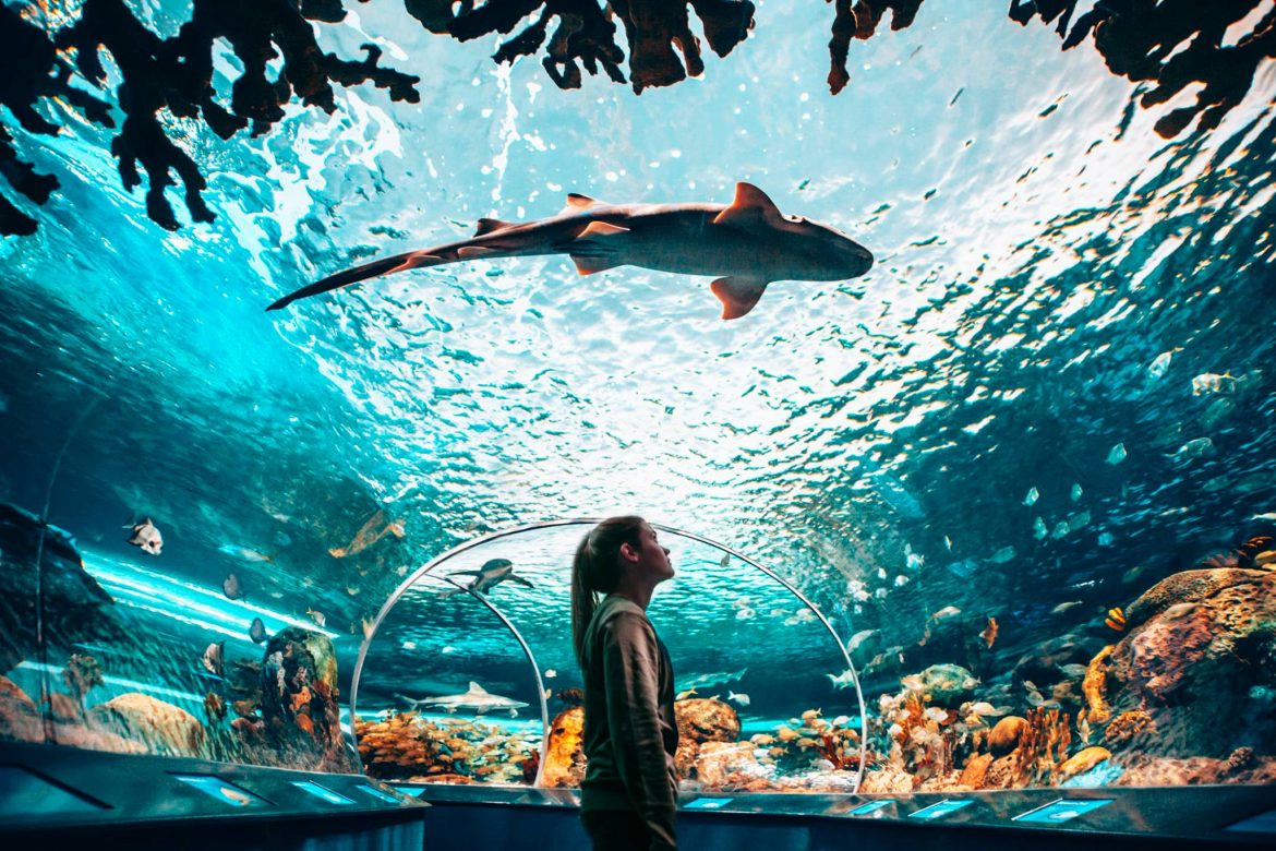 Top Entertaining Things To Do In Canada