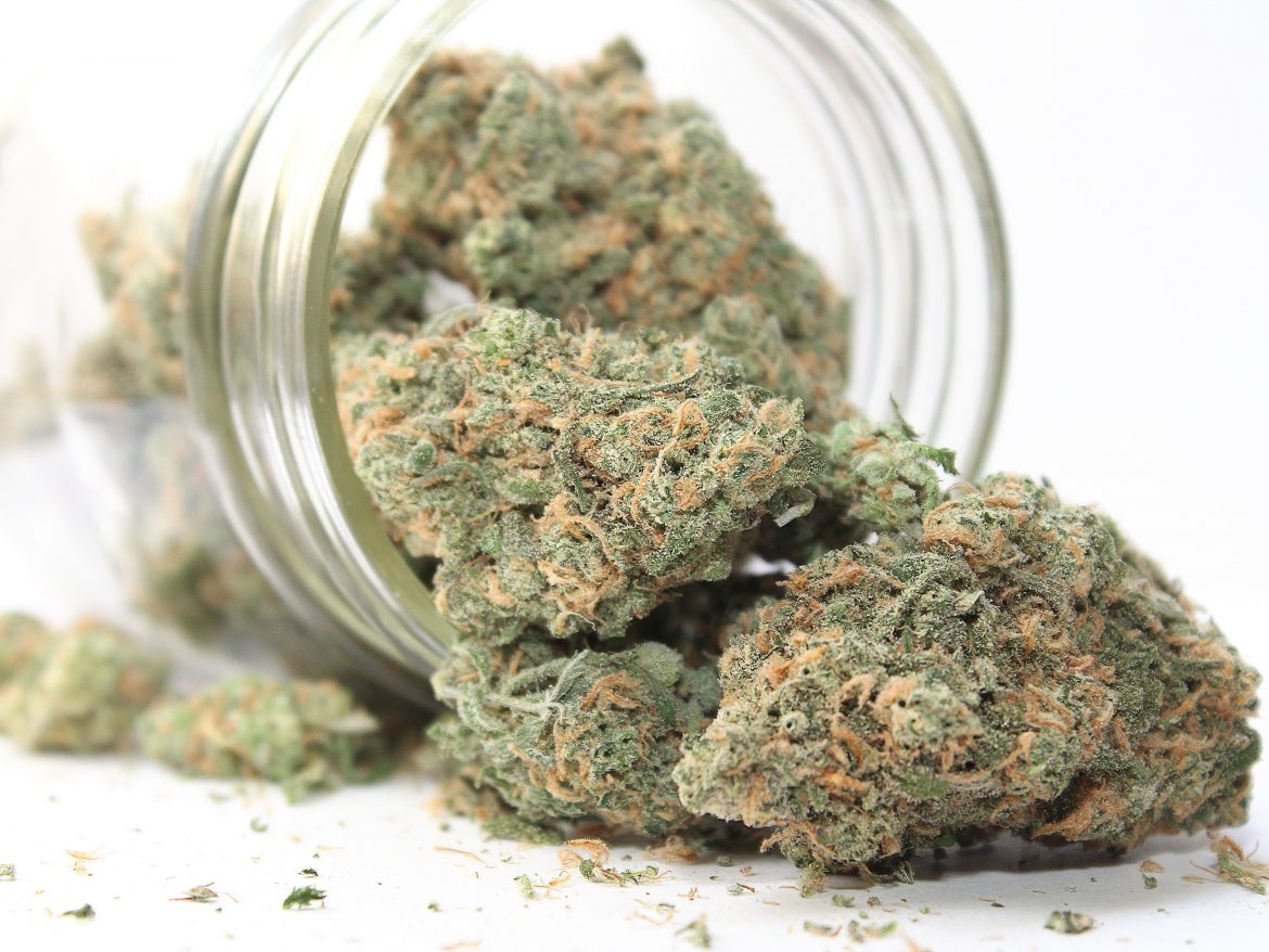 Cannabis Sativa and Its Use in Canada
