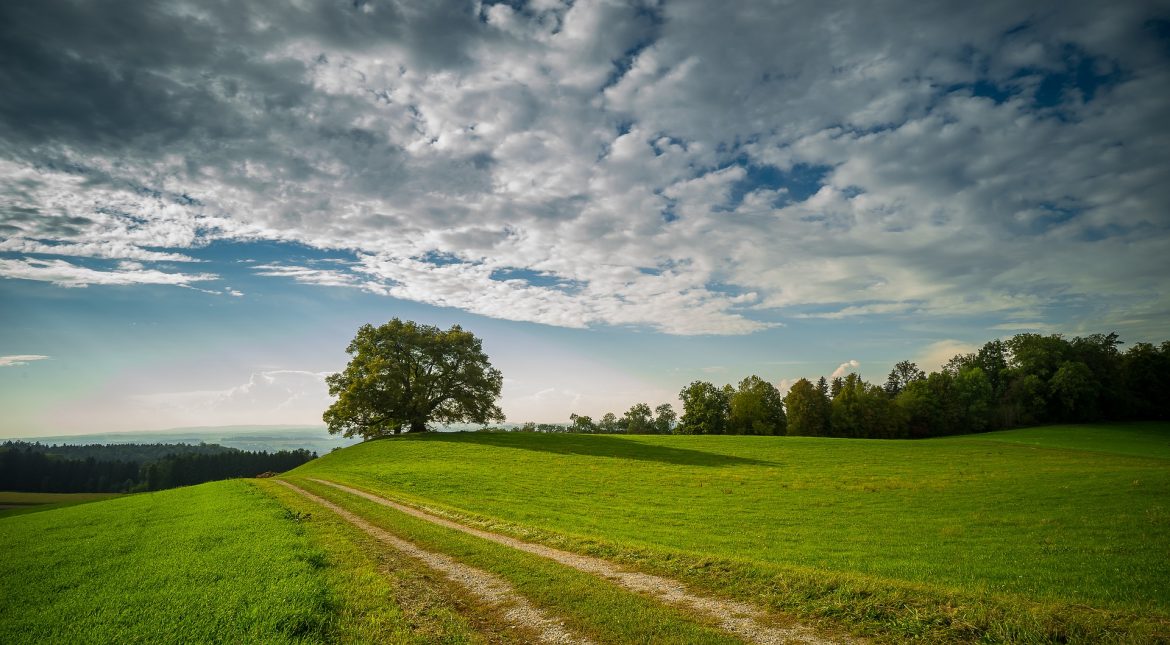 OSI Group Works with US, Europe Suppliers to Reach Sustainability Goals
