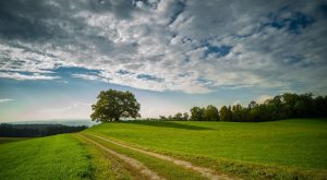 OSI Group, US, Europe, Sustainability Goals