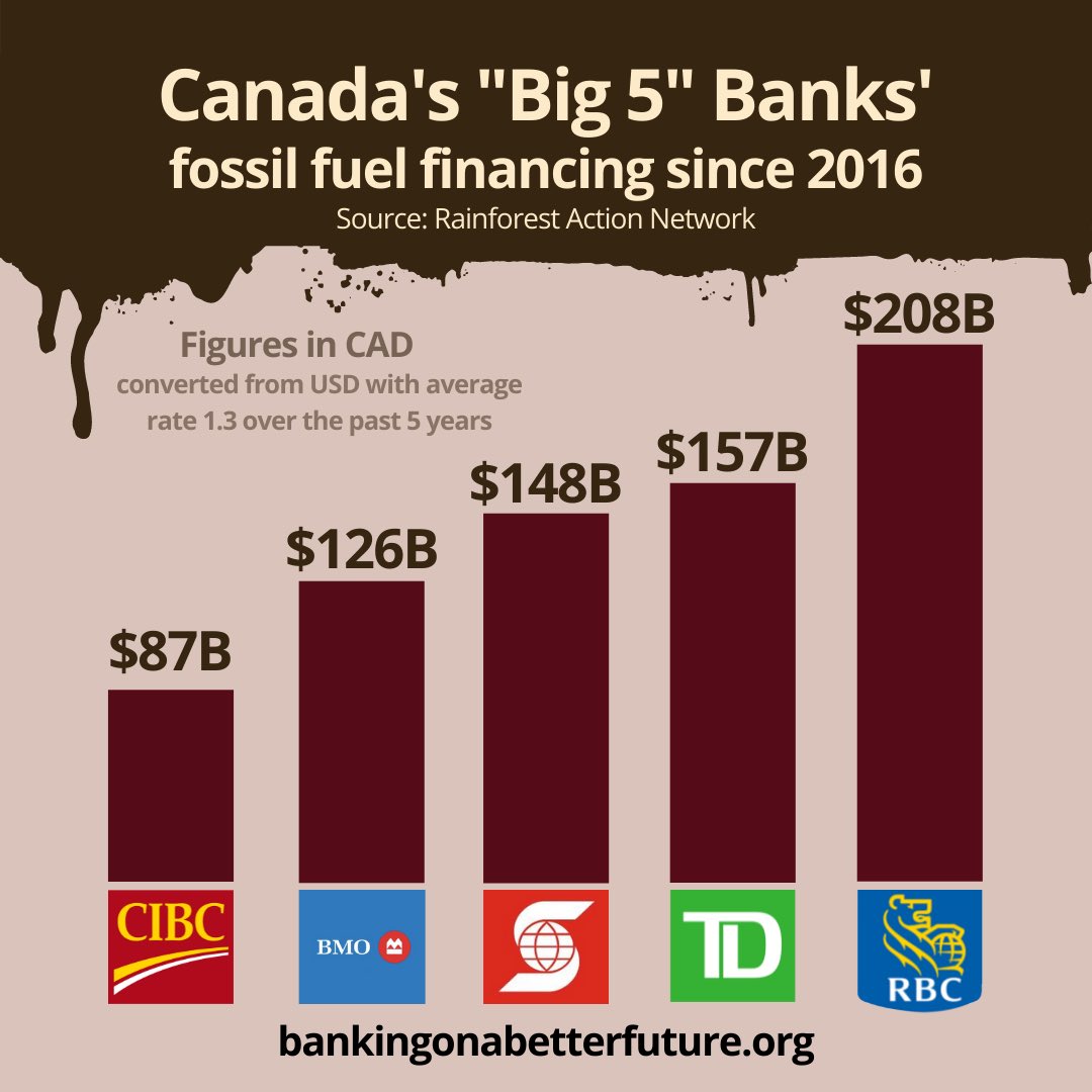 About The Big 5 In Canada