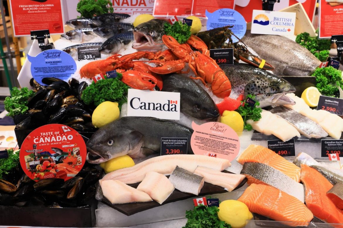 Canada Hailed for Its Unique Role in Reinventing the Retail Market